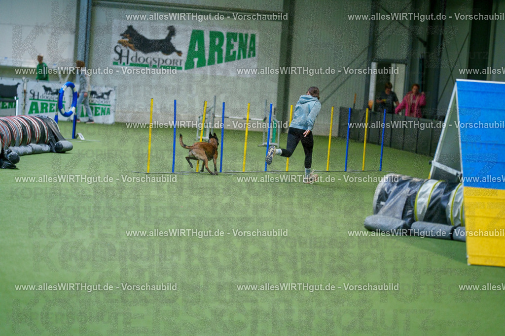 @allesWIRTHgut_Tierfotografie - www.allesWIRTHgut.de - 2604250826-7R506563 | Professionelle Tierfotografie in Mönchengladbach von Daniel Wirth (allesWIRTHgut). Liebevolle & natürliche Bilder von Hunden & Katzen für unvergessliche Erinnerungen.