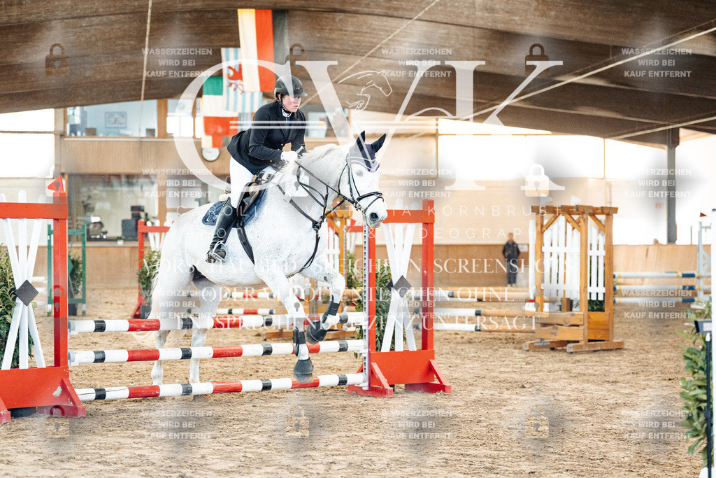 CK903958 | Turnierfotografie Pferdefotografie Trier Rheinland-Pfalz Pferdesport Reitsport Tierfotografie Sportfotografie Pferdevideo Pferdevideografie Equestrianvideography equestrianphotography  - Realized with Pictrs.com