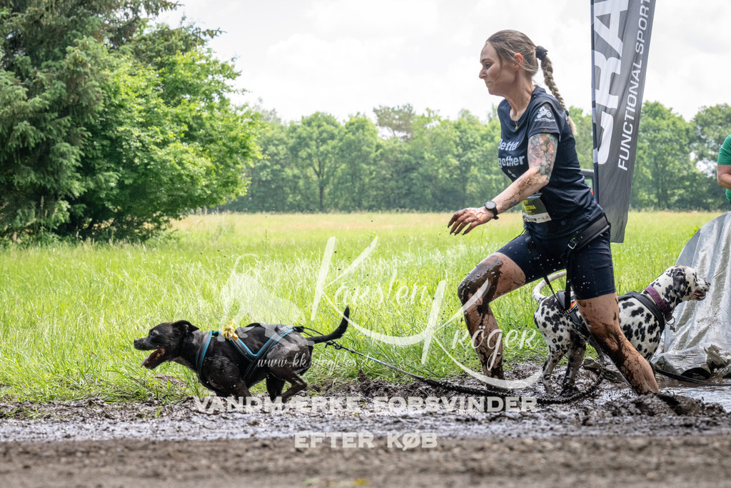 1138_ZZ93543 | kk-dogfotos