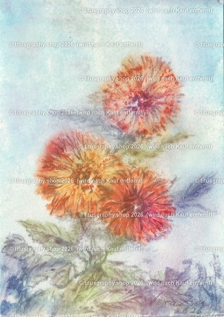 Asterngruß Variation 30 | Zeichnung von Vera Zschecked exclusiv auf titusgraphy.eu - Realisiert mit Pictrs.com