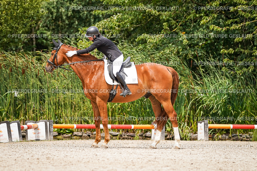 DSC04045 | Pferdegrafie