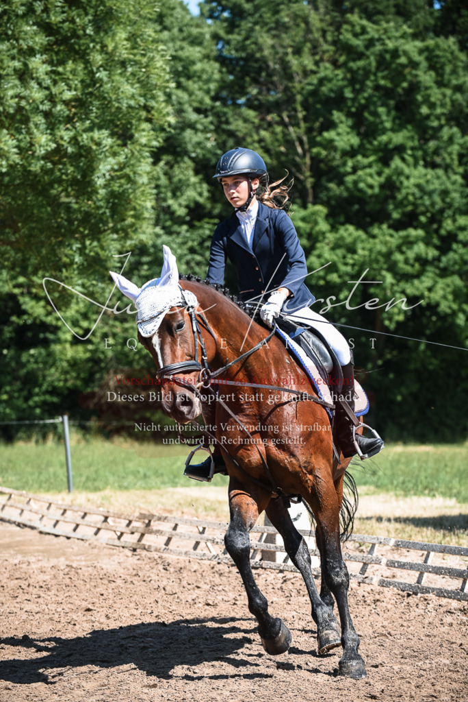 DSC_3497 | Pferde- und Turnierfotografie in Westsachsen. Pferdeportraits, Auftragszeichnungen und intuitive Kunst.