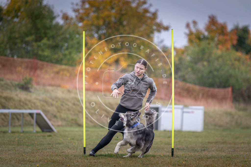 Pfotenfotografie_DV3A0921 | Hundefotografie, Tierfotograf, Pfotenfotografie, Fotoshooting Hund, Hunde Portrait, Hundesport, Hundeportraits, Heideshooting, Hunde, Sportfotograf, Hundefotograf, Turnierhundsport, THS,  - Realisiert mit Pictrs.com