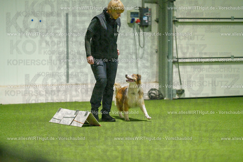 7R504393 | Professionelle Tierfotografie in Mönchengladbach von Daniel Wirth (allesWIRTHgut). Liebevolle & natürliche Bilder von Hunden & Katzen für unvergessliche Erinnerungen.