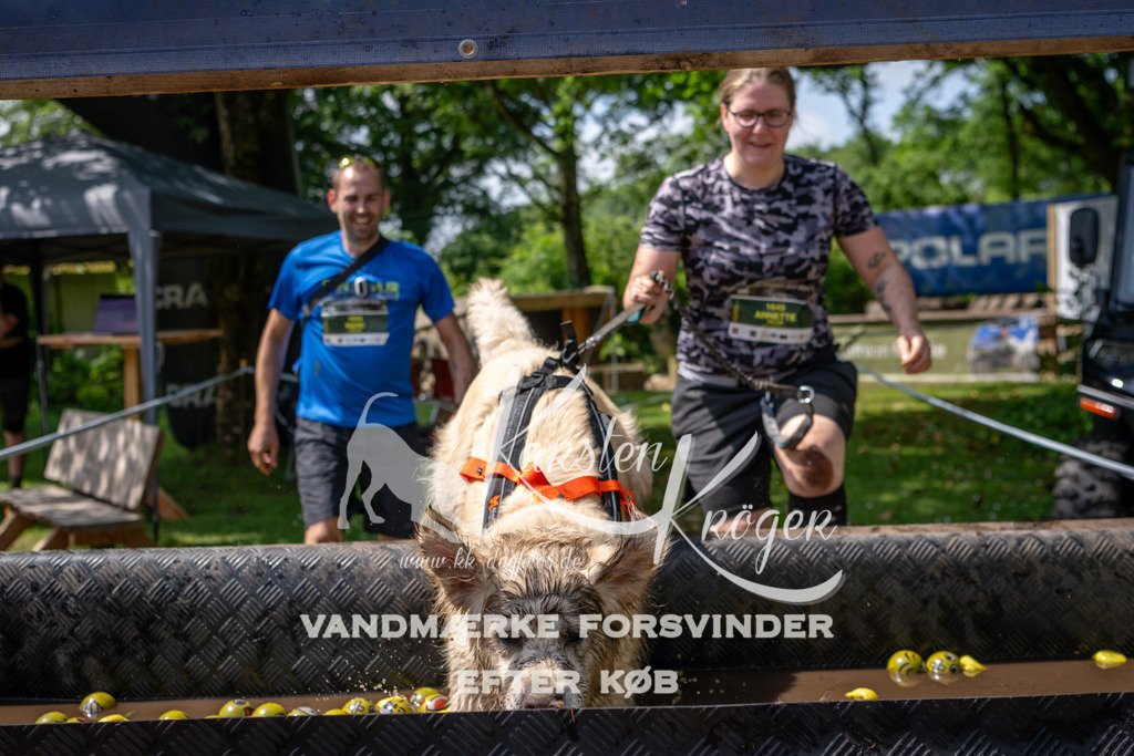 1145_ZZ94825 | kk-dogfotos