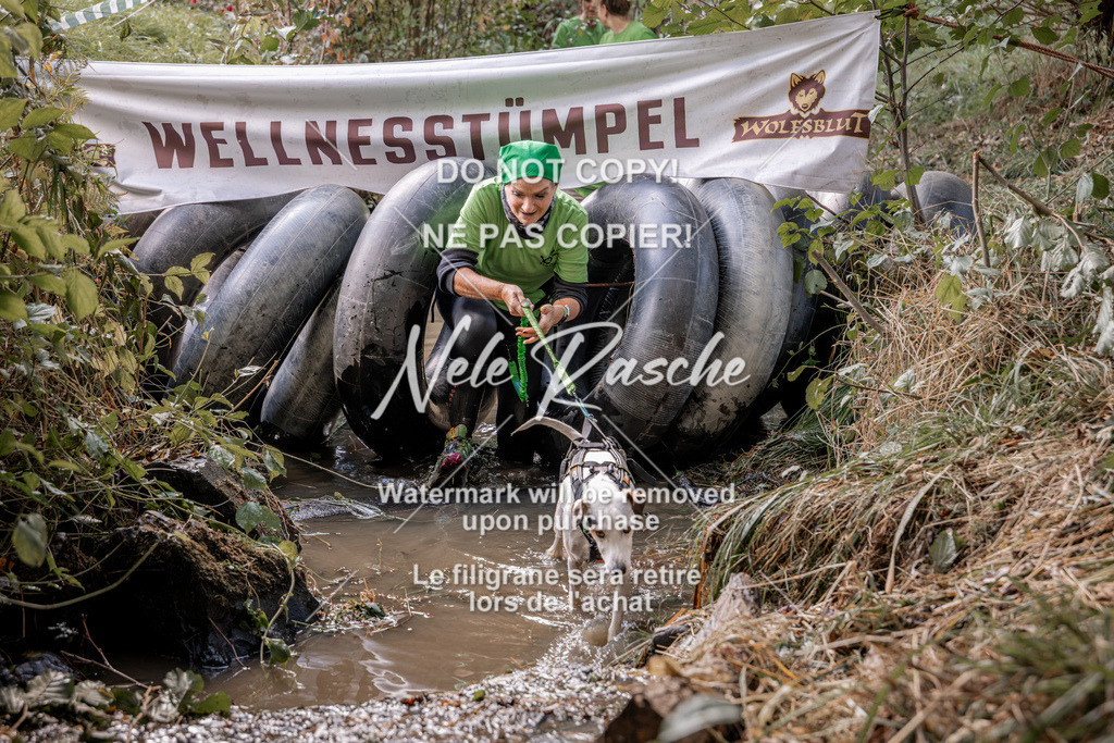 nelerasche_Hunsrück2026_Sa1400-1500_46 | nelerasche