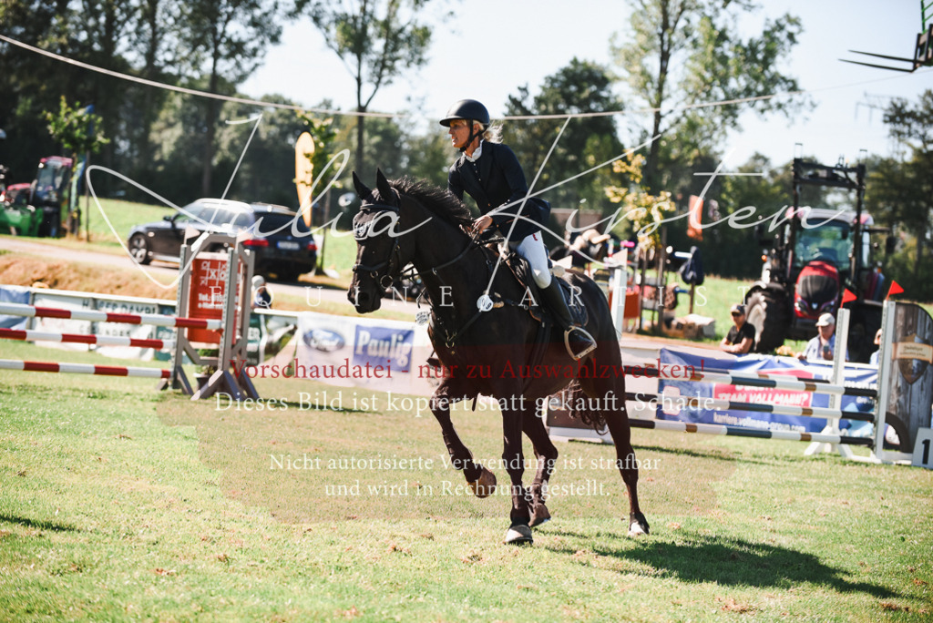 DSC_2553 | Pferde- und Turnierfotografie in Westsachsen. Pferdeportraits, Auftragszeichnungen und intuitive Kunst.