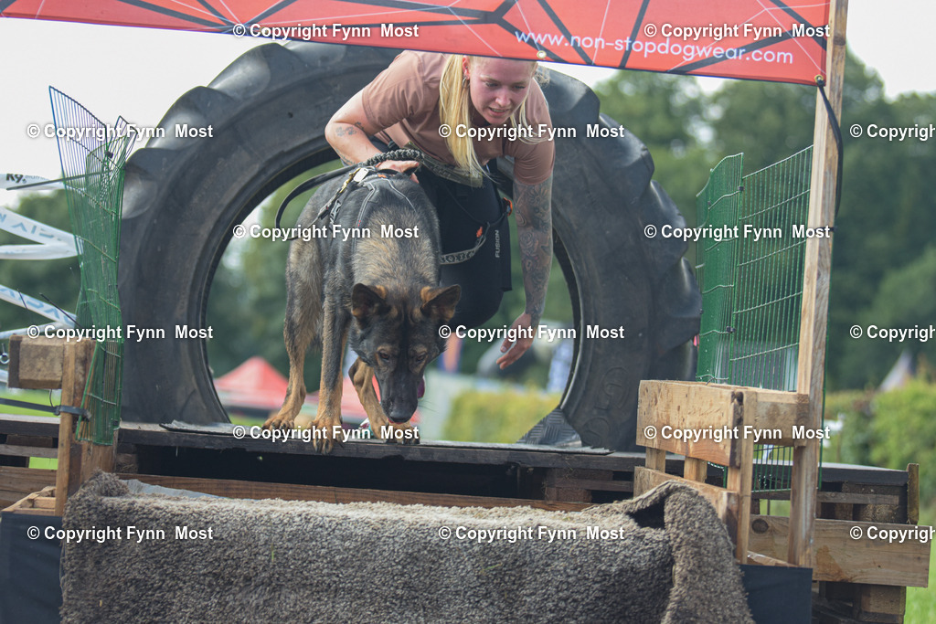 DSC_0780-3 | Hallo und herzlich Willkommen auf meiner Shop-Seite Fynn Most.

Ich wünsche Dir viel Spaß beim stöbern durch die Bilder, wenn Du Fragen hast oder Bilder vermisst, kannst du mir gerne eine Nachricht schreiben. - Realisiert mit Pictrs.com