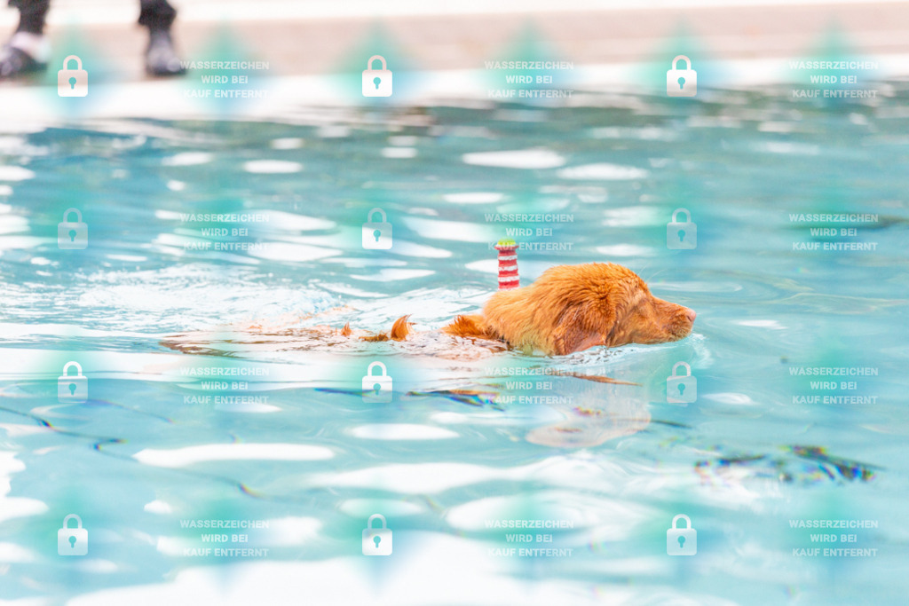 _HP_7214_1000o | HetPix, HetPix Fotodesign, Fotografie, Fotodesign, Webshop, Sportfotografie, Portraitfotografie, Onlineshop, Sportfotografie, Polch, Motorsportfotografie, Eventfotografie