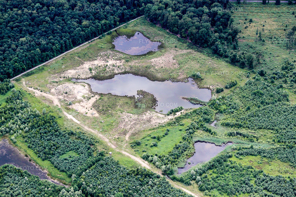 Aerial view: Shoreline areas of a flooded former open-cast mine and renatured lake in Foret de Haguenau in Kesseldorf in the state Bas-Rhin, France.Photo: IMG_19072.jpg taken on 06/20/2009 by Werner Riehm/FLY-FOTO.comResolution of the original: 4752 x 3168 px