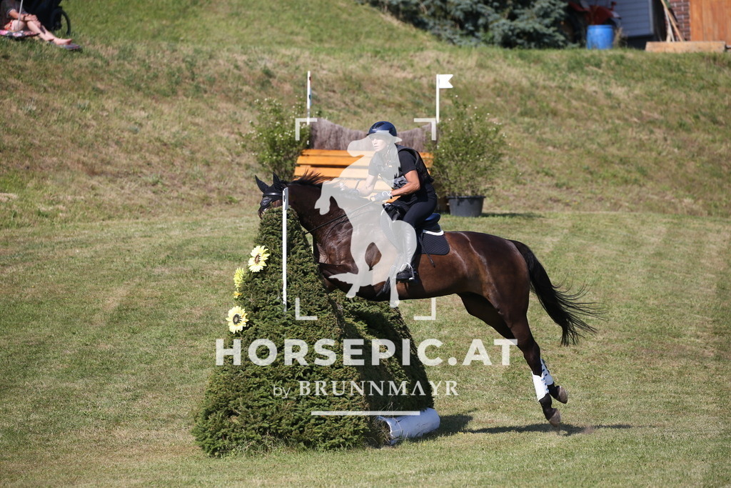 DL2Q2062 | Willkommen bei Brunnmayr - Design & Fotografie – Ihrem Spezialisten für Reitturniere und Pferdeveranstaltungen in Oberösterreich, Salzburg und Bayern! Seit über 17 Jahren sind wir leidenschaftlich dabei.