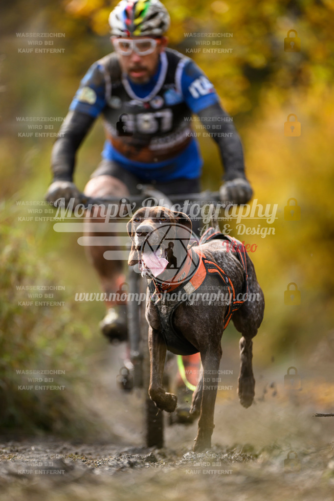 MompixPhotography_ICF_WC_2024_SA_Bike_-283 | PayLife