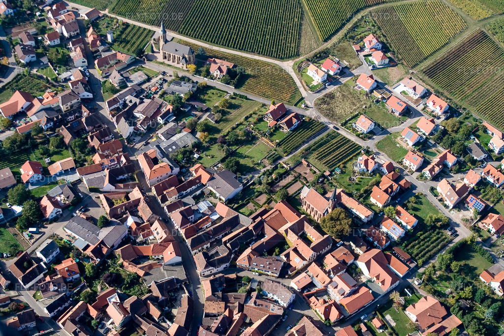 Luftbild: Am Daschberg in Birkweiler im Bundesland Rheinland-Pfalz in Deutschland. Foto: IMG_8349.jpg vom 06.10.2007 durch Werner Riehm/FLY-FOTO.de