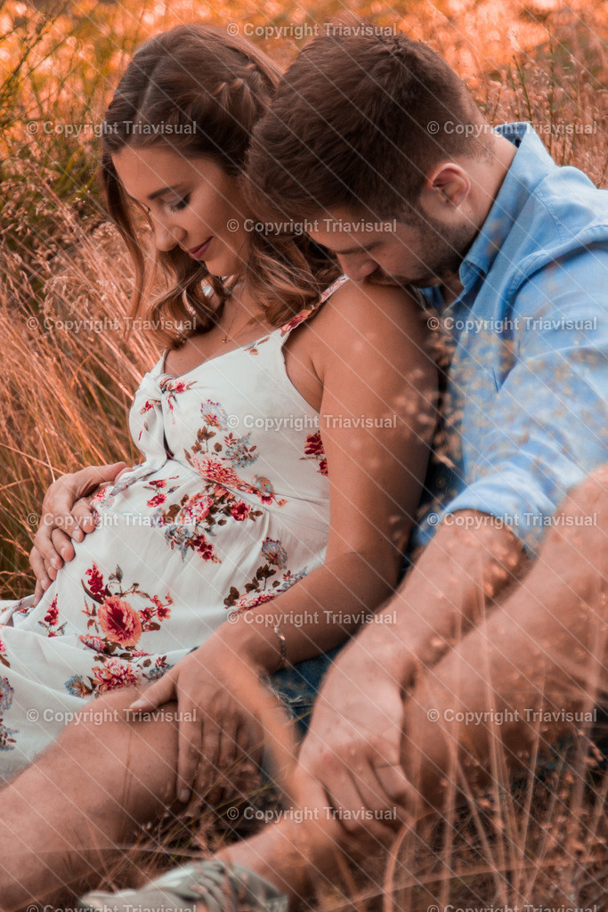 0066 | Triavisual  - Realisiert mit Pictrs.com