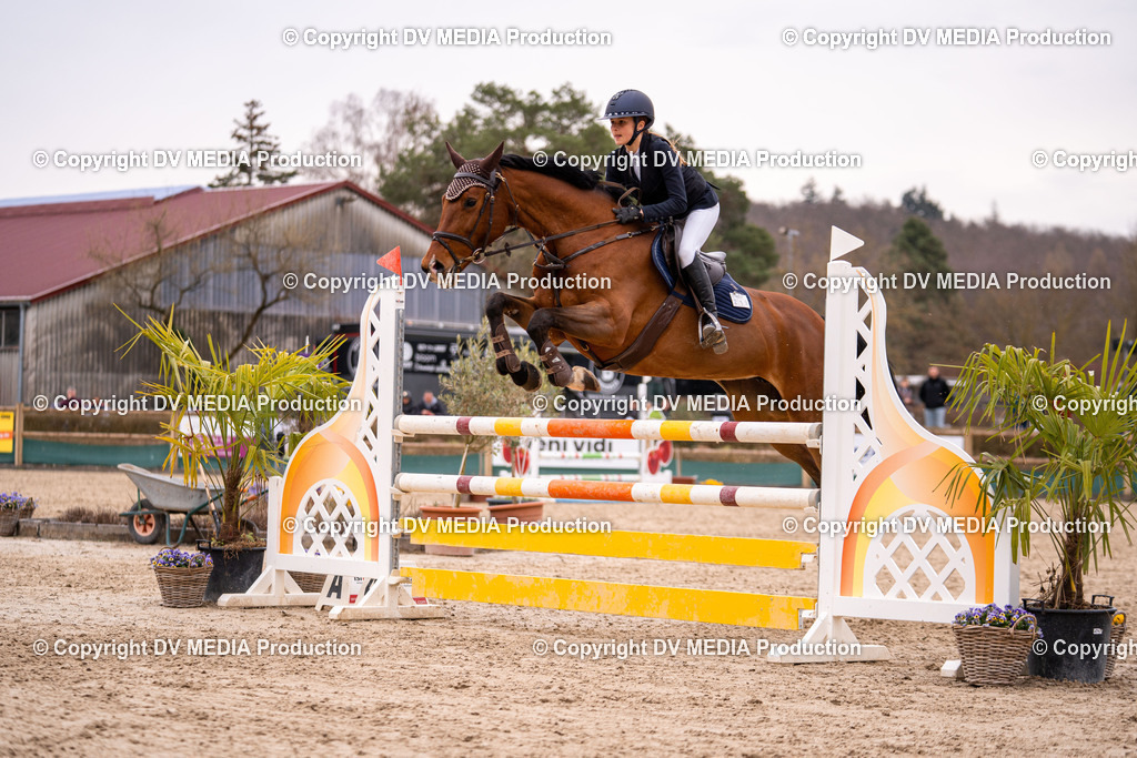 Kranichstein Tag 2-198 | dv-media-shop - Realisiert mit Pictrs.com