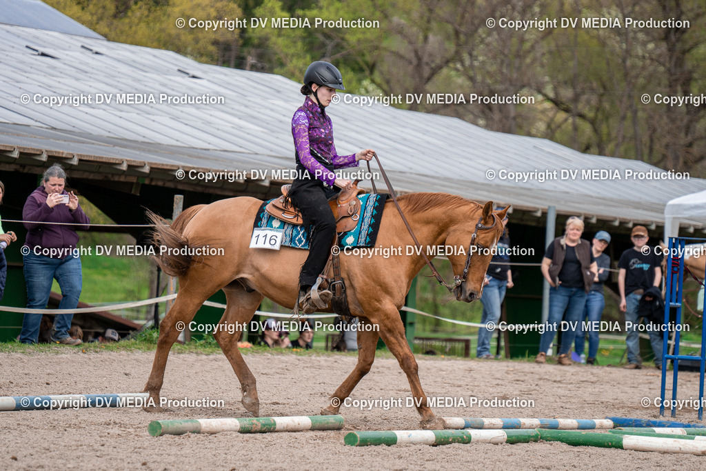 BAL02514 | dv-media-shop - Realisiert mit Pictrs.com