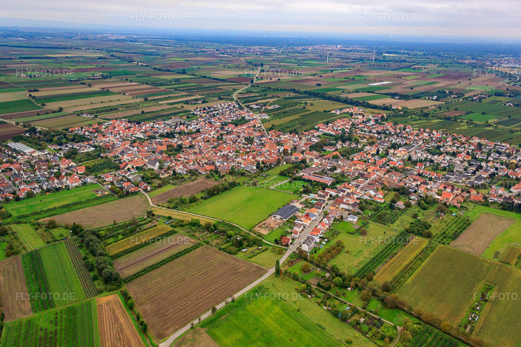 Luftbild: Dorfansicht von Nordwesten in Meckenheim im Bundesland Rheinland-Pfalz in Deutschland. Foto: IMG_34242.jpg vom 02.10.2010 durch Werner Riehm/FLY-FOTO.de