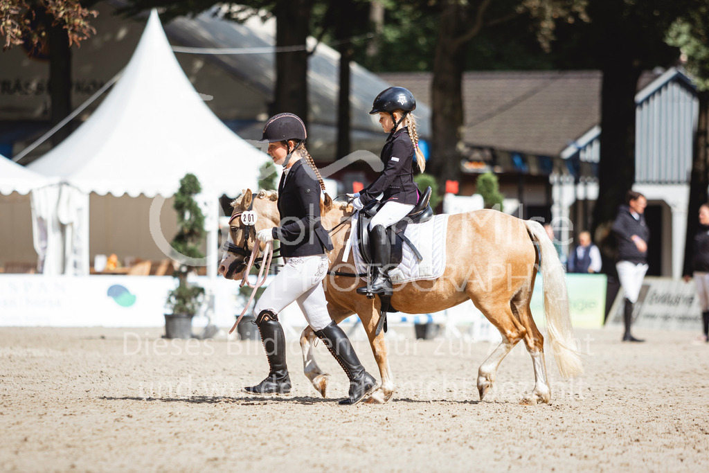 240915_OWLCh_FuehrzuegelWB-687 | Deine schönsten Turniermomente als professionelle Fotos! Entdecke hochwertige Pferdesport-Fotografie im Online-Shop. Jetzt Fotos finden & bestellen!