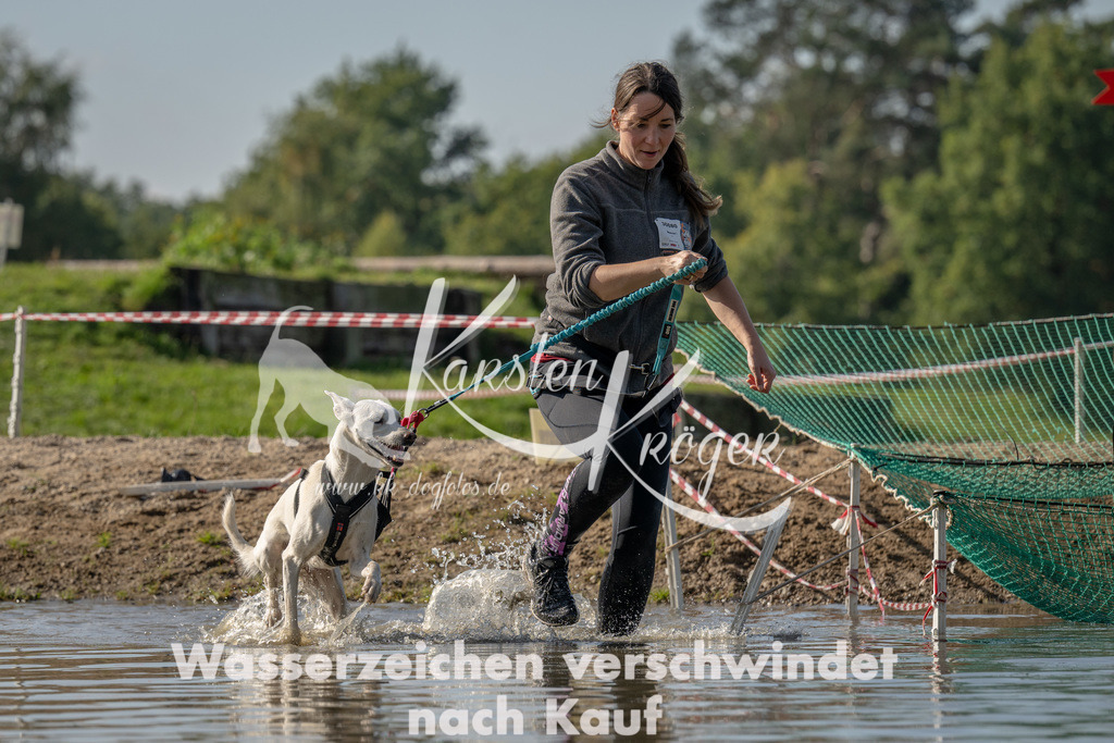 1303_ZZ94571 | kk-dogfotos