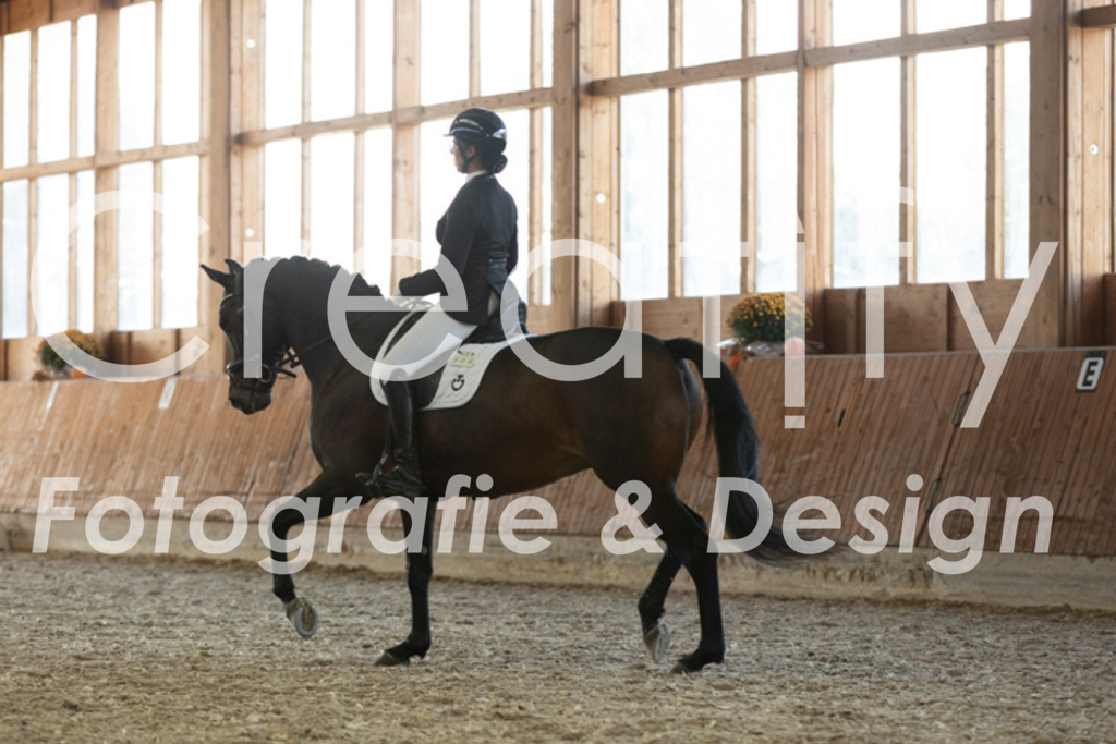 IMG_3700 | Creatify Fotografie