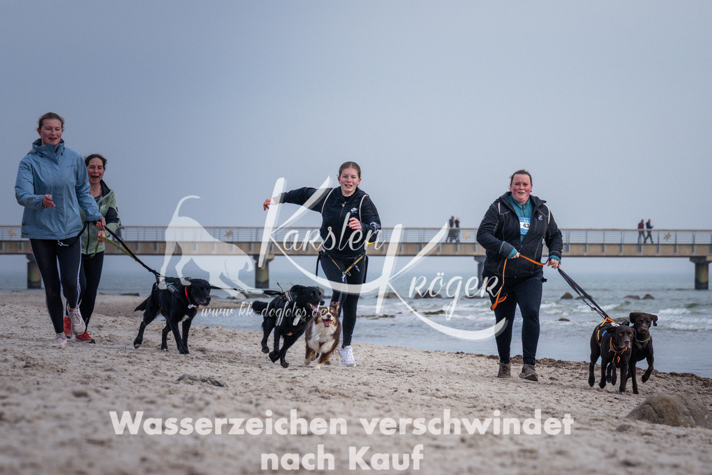 1302_ZZ97925 | kk-dogfotos