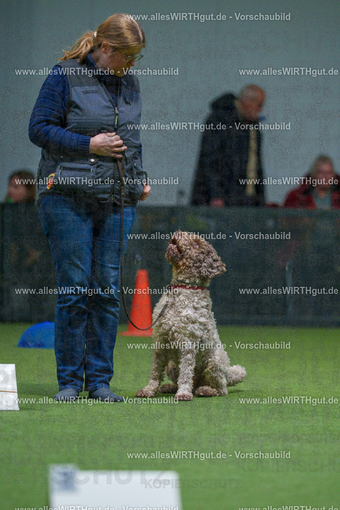 7R507800 | Professionelle Tierfotografie in Mönchengladbach von Daniel Wirth (allesWIRTHgut). Liebevolle & natürliche Bilder von Hunden & Katzen für unvergessliche Erinnerungen.