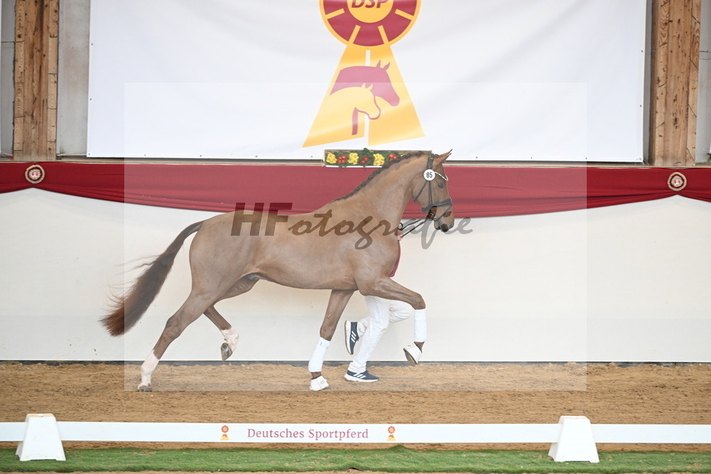 Kat.-Nr. 85 v. Vitalis_Wiens_2250787 | hf-fotografie - Realisiert mit Pictrs.com