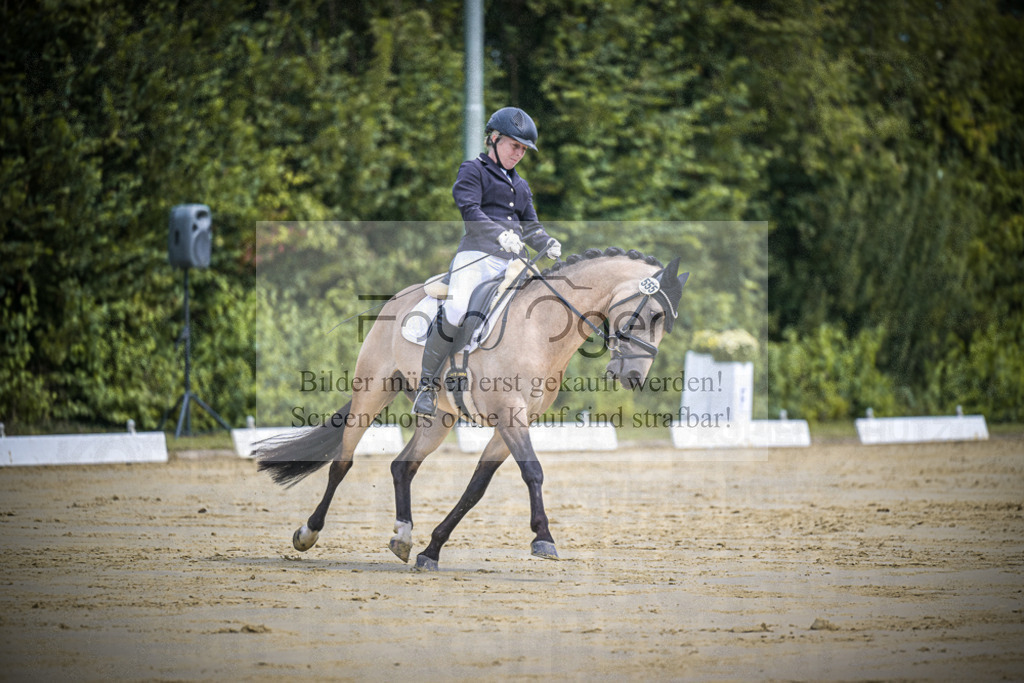 DOS_0164 | Entdecke hochwertige Reitturnierfotos von Foto Oger. Professionell, emotional und authentisch – jetzt Lieblingsmomente im Shop bestellen.Deutschlandweite Turnierfotografie. - Realisiert mit Pictrs.com
