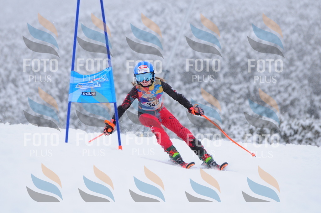 C3695 | holidayphoto