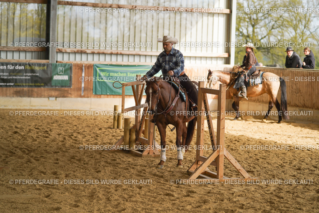 DSC01654 | Pferdegrafie