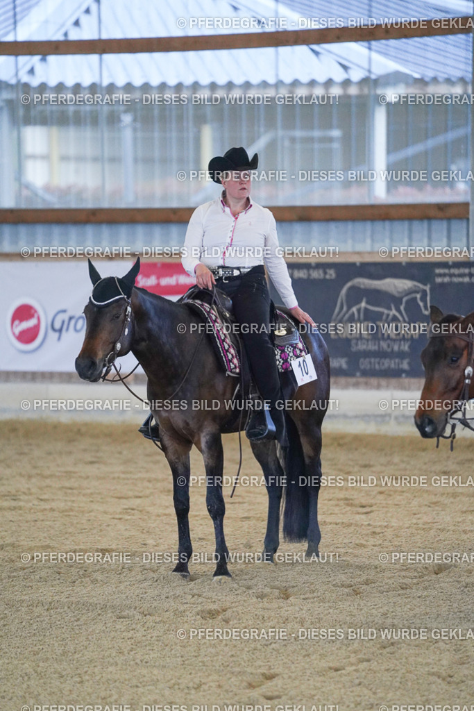 DSC09126 | Pferdegrafie