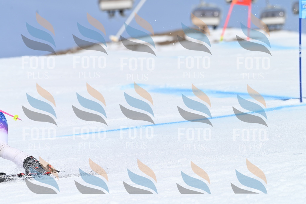 BGV_0323 | holidayphoto