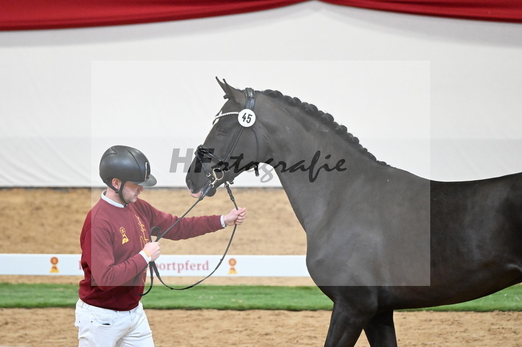 Kat.-Nr. 45 v. Bonds_Schafhof_2250050 | hf-fotografie - Realisiert mit Pictrs.com