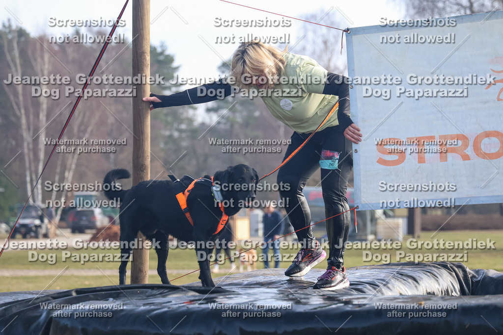 Dog Paparazzi - Strongdog North Mrz26-428 | Dog Paparazzi Jeanette Grottendiek Fotografie & Videografie - Realisiert mit Pictrs.com