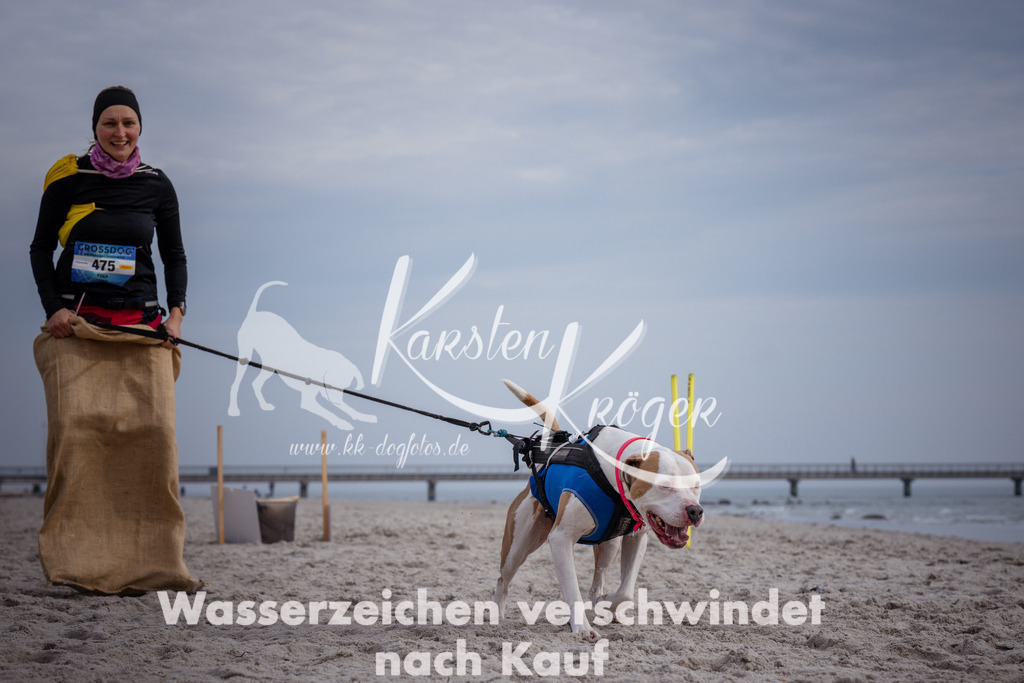 1152_ZZ91187 | kk-dogfotos