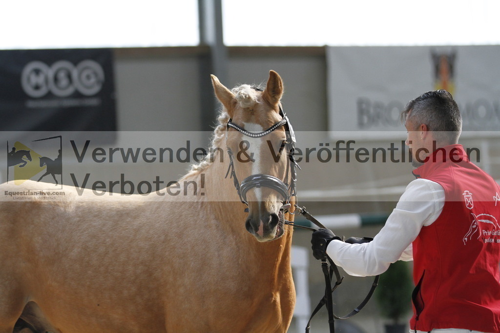 _MG_9727 | equestrian-live-com