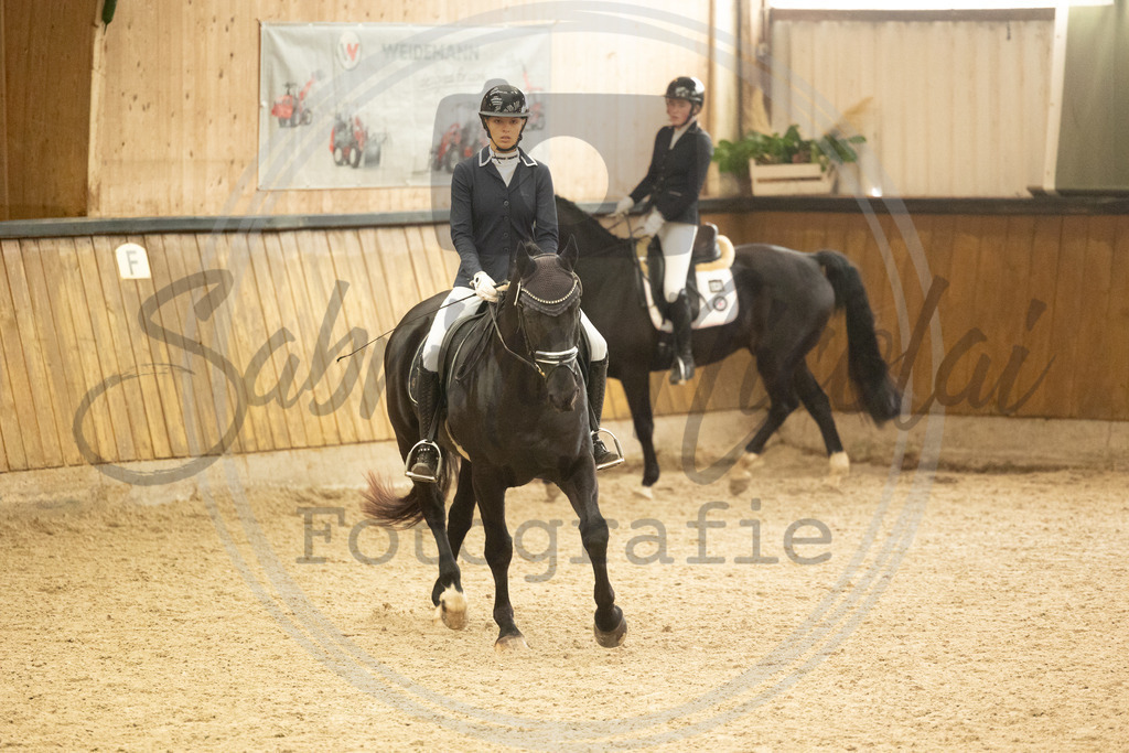 994A4204 | sabrinanicolaifotografie - Realisiert mit Pictrs.com