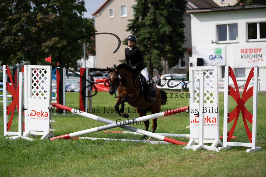 A7V03885 | Pferdefotograf