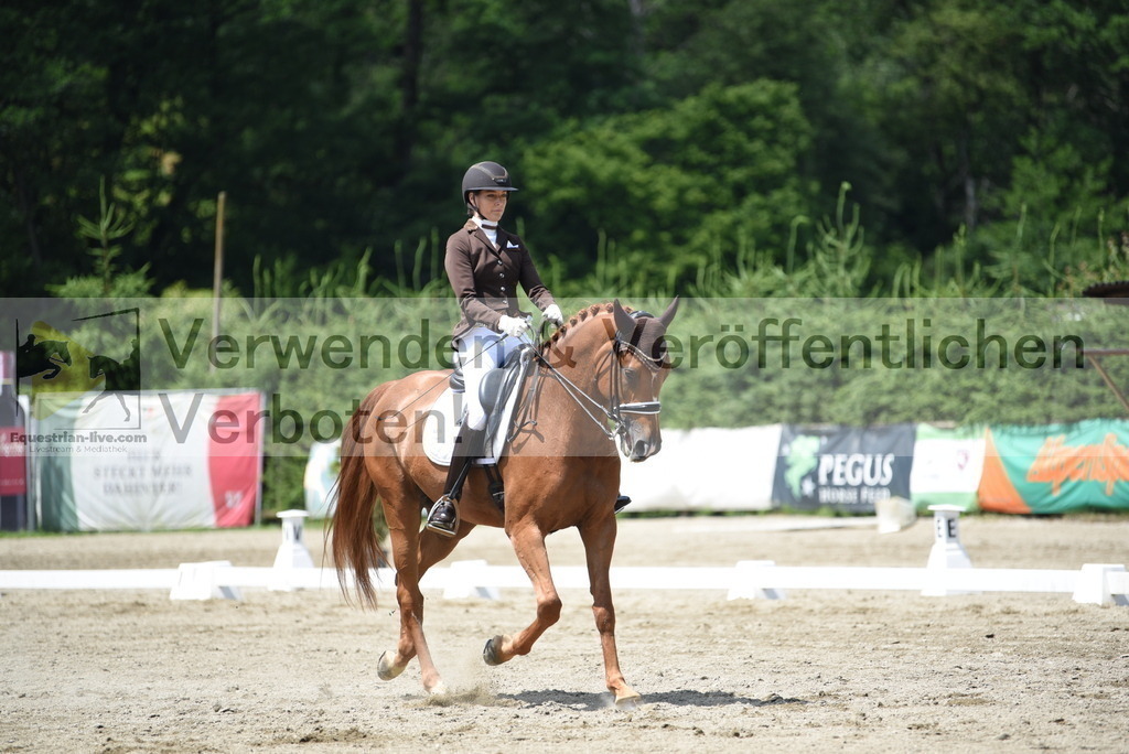 DSC_9277 | equestrian-live-com