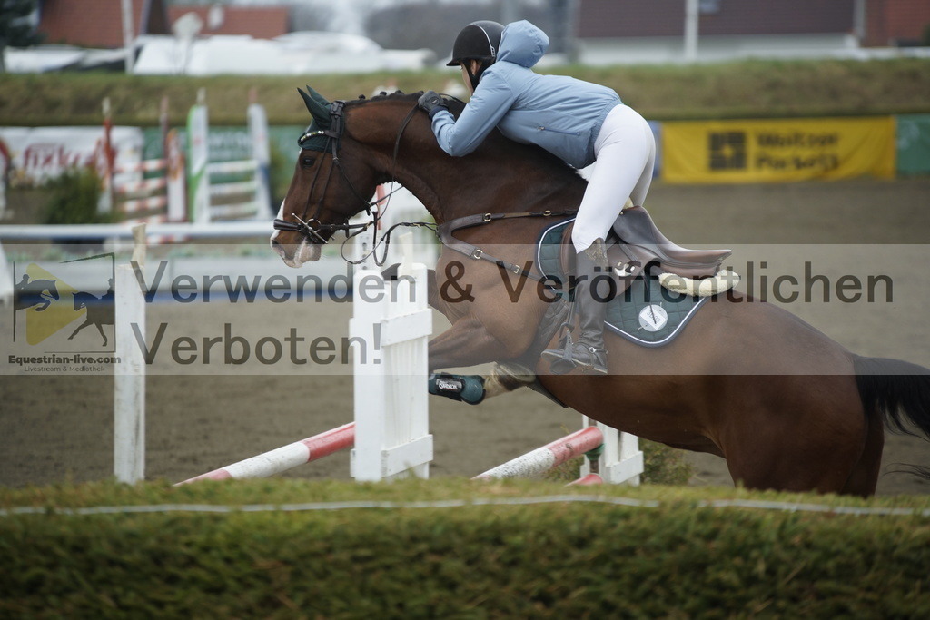 _DSC3784 | equestrian-live-com