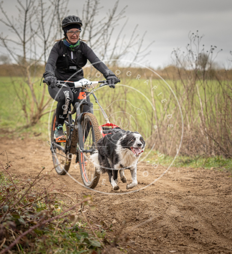 DV3A1125 | Hundefotografie, Tierfotograf, Pfotenfotografie, Fotoshooting Hund, Hunde Portrait, Hundesport, Hundeportraits, Heideshooting, Hunde, Sportfotograf, Hundefotograf, Turnierhundsport, THS,  - Realisiert mit Pictrs.com