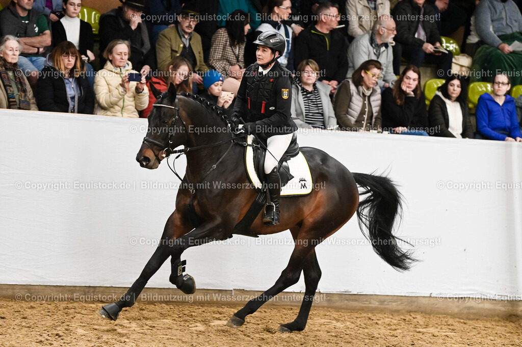 20260307_Hengstvorstellung-Marbach_0443 | equistock