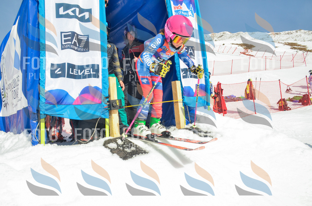 _ELE5386 | holidayphoto