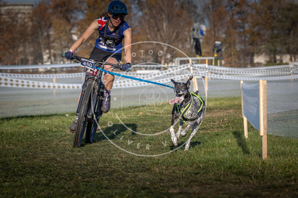 CaniXpix_0L8A4397 | Hundefotografie, Tierfotograf, Pfotenfotografie, Fotoshooting Hund, Hunde Portrait, Hundesport, Hundeportraits, Heideshooting, Hunde, Sportfotograf, Hundefotograf, Turnierhundsport, THS,  - Realisiert mit Pictrs.com