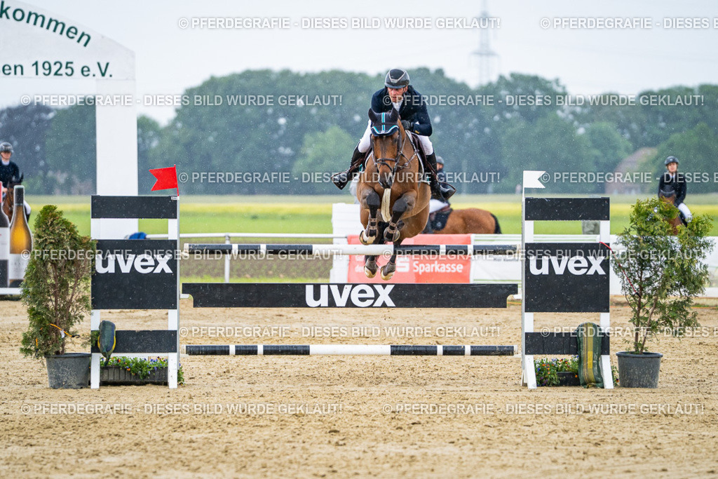 DSC08627 | Pferdegrafie