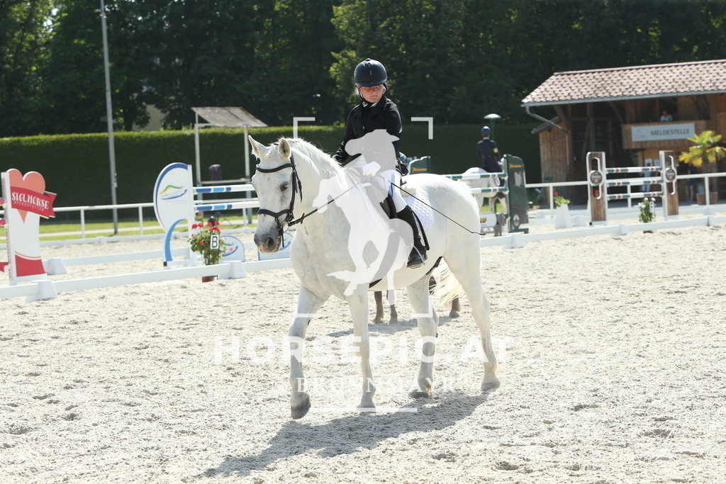 DL2Q0793 | Willkommen bei Brunnmayr - Design & Fotografie – Ihrem Spezialisten für Reitturniere und Pferdeveranstaltungen in Oberösterreich, Salzburg und Bayern! Seit über 17 Jahren sind wir leidenschaftlich dabei.