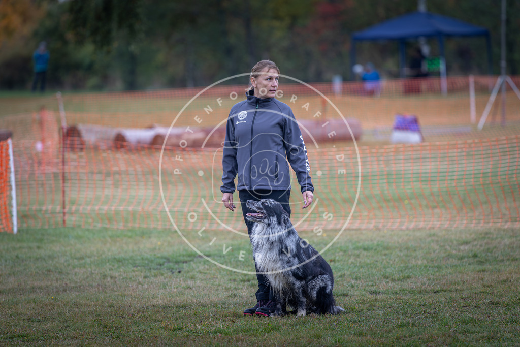 Pfotenfotografie_DV3A9427 | Hundefotografie, Tierfotograf, Pfotenfotografie, Fotoshooting Hund, Hunde Portrait, Hundesport, Hundeportraits, Heideshooting, Hunde, Sportfotograf, Hundefotograf, Turnierhundsport, THS,  - Realisiert mit Pictrs.com