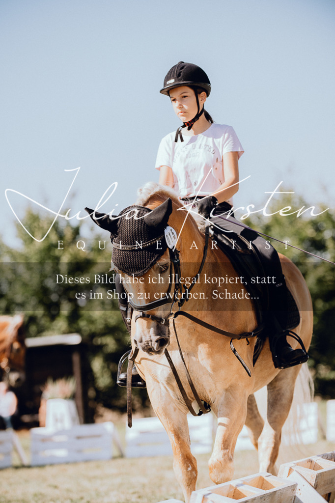 DSC_7267 | Pferde- und Turnierfotografie in Westsachsen. Pferdeportraits, Auftragszeichnungen und intuitive Kunst.