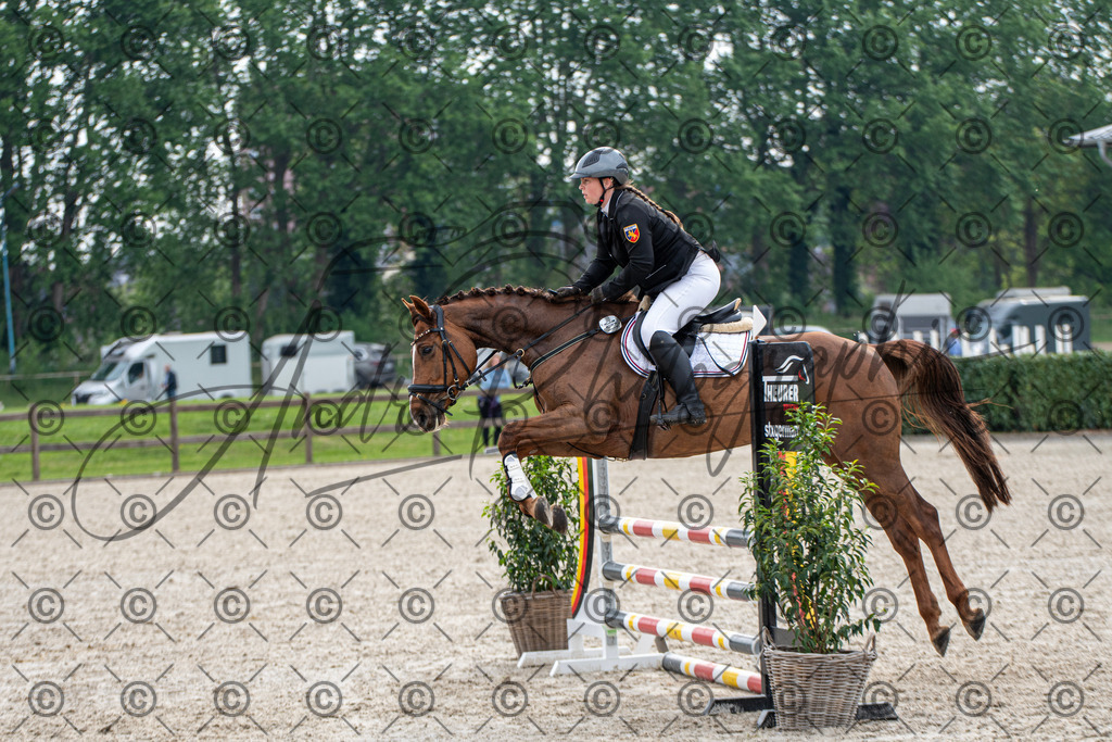 KPT_2096 | andre_photographic