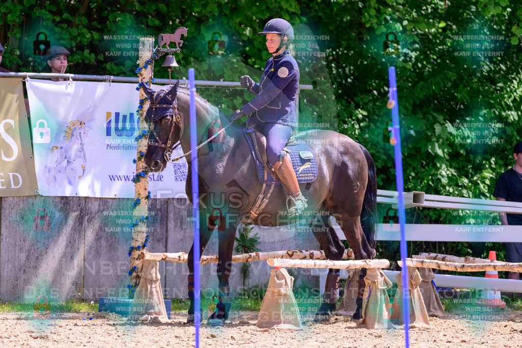 03052026-Giesenbach-05-Stiltrail-0219 | Fokus Hufschlag Fotografie - Realisiert mit Pictrs.com